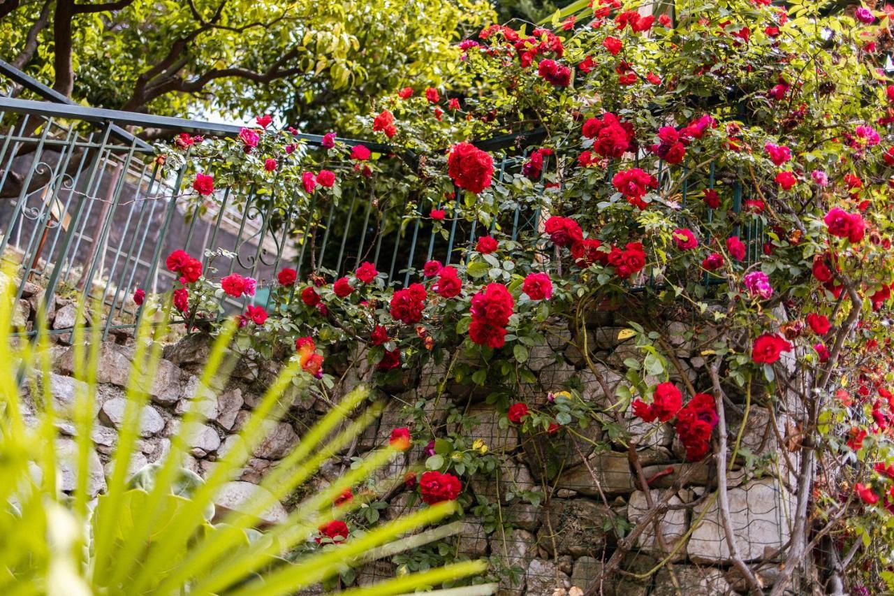 Ascheri Country House - Grimaldi, Ventimiglia Exterior photo